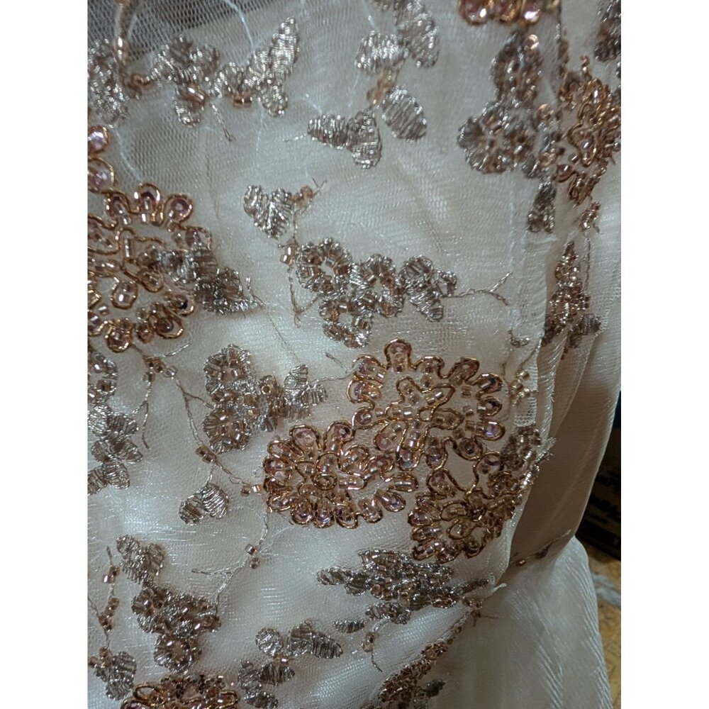 Embroidered Ivory High-Low Dress Floral  Sheer Overlay Formal Prom sz 16 (slim) - Picture 6 of 6